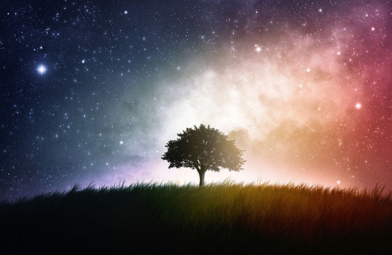 Guide to Lucid Dreaming